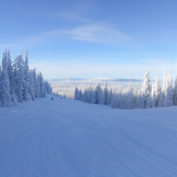 Meet your Posher, Sarah - Picture 1 of 1